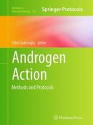 Androgen Action