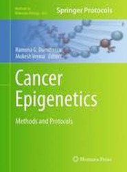 Cancer Epigenetics
