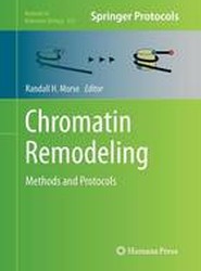 Chromatin Remodeling