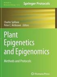 Plant Epigenetics and Epigenomics
