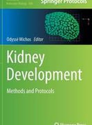 Kidney Development