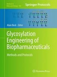 Glycosylation Engineering of Biopharmaceuticals