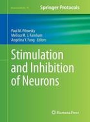 Stimulation and Inhibition of Neurons