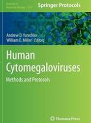 Human Cytomegaloviruses