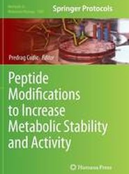 Peptide Modifications to Increase Metabolic Stability and Activity