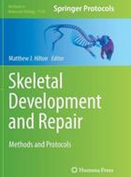 Skeletal Development and Repair
