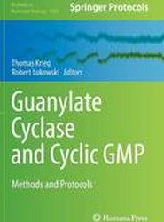 Guanylate Cyclase and Cyclic GMP