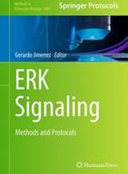ERK Signaling