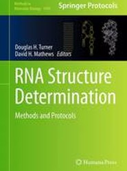 RNA Structure Determination