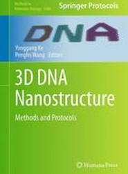 3D DNA Nanostructure