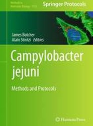 Campylobacter jejuni