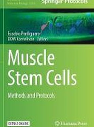 Muscle Stem Cells