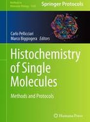Histochemistry of Single Molecules