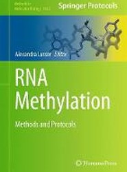RNA Methylation