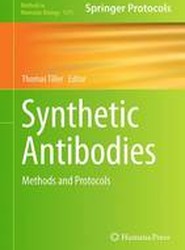 Synthetic Antibodies