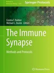 The Immune Synapse