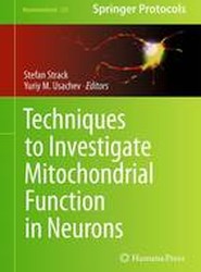 Techniques to Investigate Mitochondrial Function in Neurons