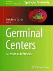 Germinal Centers