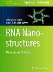 RNA Nanostructures