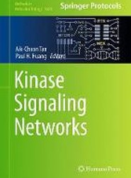 Kinase Signaling Networks