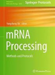 mRNA Processing