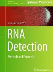 RNA Detection