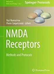 NMDA Receptors