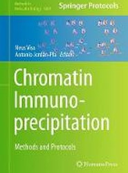 Chromatin Immunoprecipitation