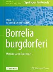 Borrelia burgdorferi