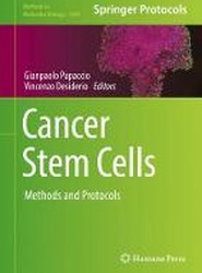 Cancer Stem Cells