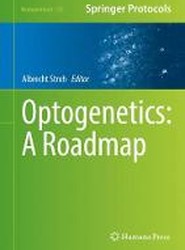 Optogenetics: A Roadmap