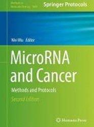 MicroRNA and Cancer