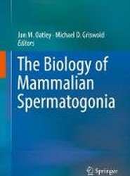 The Biology of Mammalian Spermatogonia