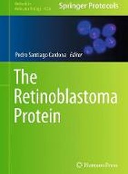 The Retinoblastoma Protein