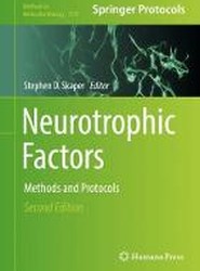 Neurotrophic Factors