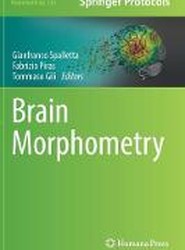 Brain Morphometry