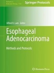 Esophageal Adenocarcinoma