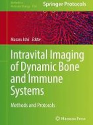 Intravital Imaging of Dynamic Bone and Immune Systems