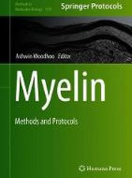 Myelin
