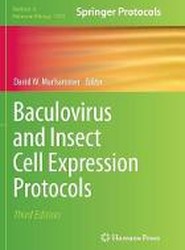 Baculovirus and Insect Cell Expression Protocols