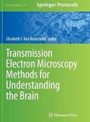 Transmission Electron Microscopy Methods for Understanding the Brain