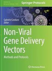 Non-Viral Gene Delivery Vectors