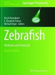 Zebrafish