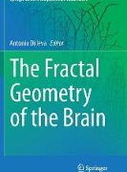 The Fractal Geometry of the Brain