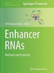 Enhancer RNAs