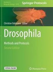 Drosophila