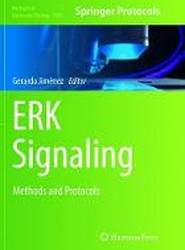 ERK Signaling