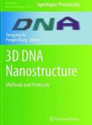 3D DNA Nanostructure