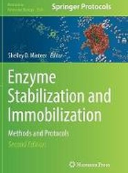 Enzyme Stabilization and Immobilization