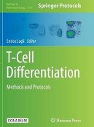 T-Cell Differentiation